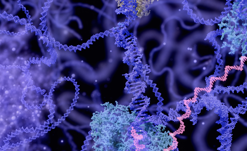 Featured image of post 单细胞测序在肺部疾病中的分析以及应用